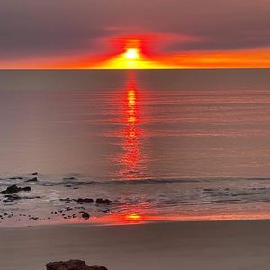 Meet your Posher, Adi litiana